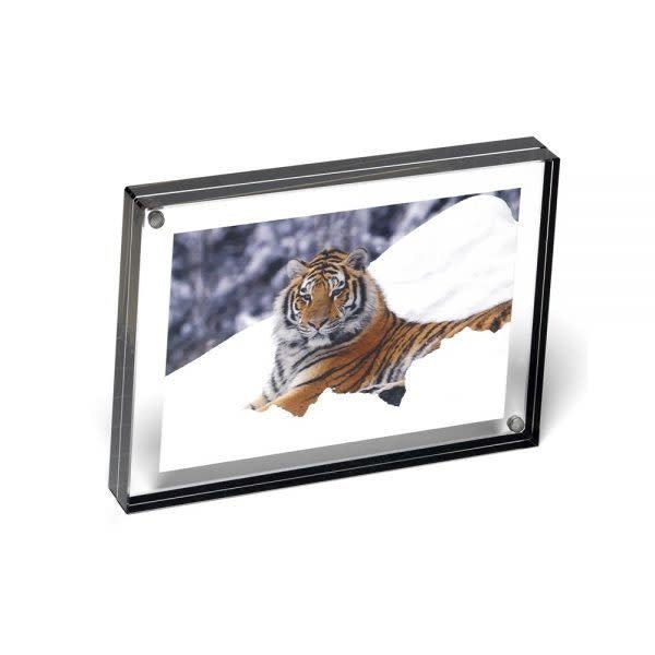 6X8 Graphite Edge Magnet Frame - #Perch#