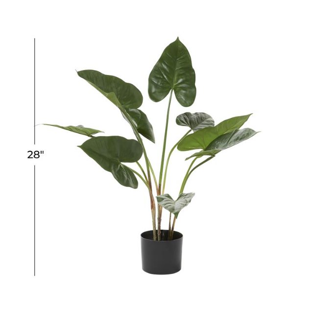 Anthurium Leaf In Pot - #Perch#