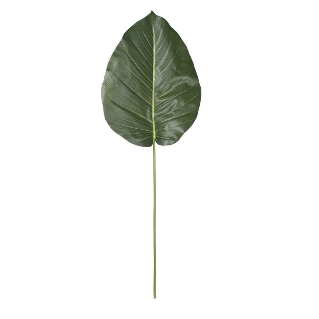 Extra Large Leaf - #Perch#