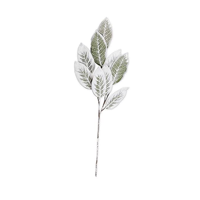 Flocked Magnolia Stem - #Perch#