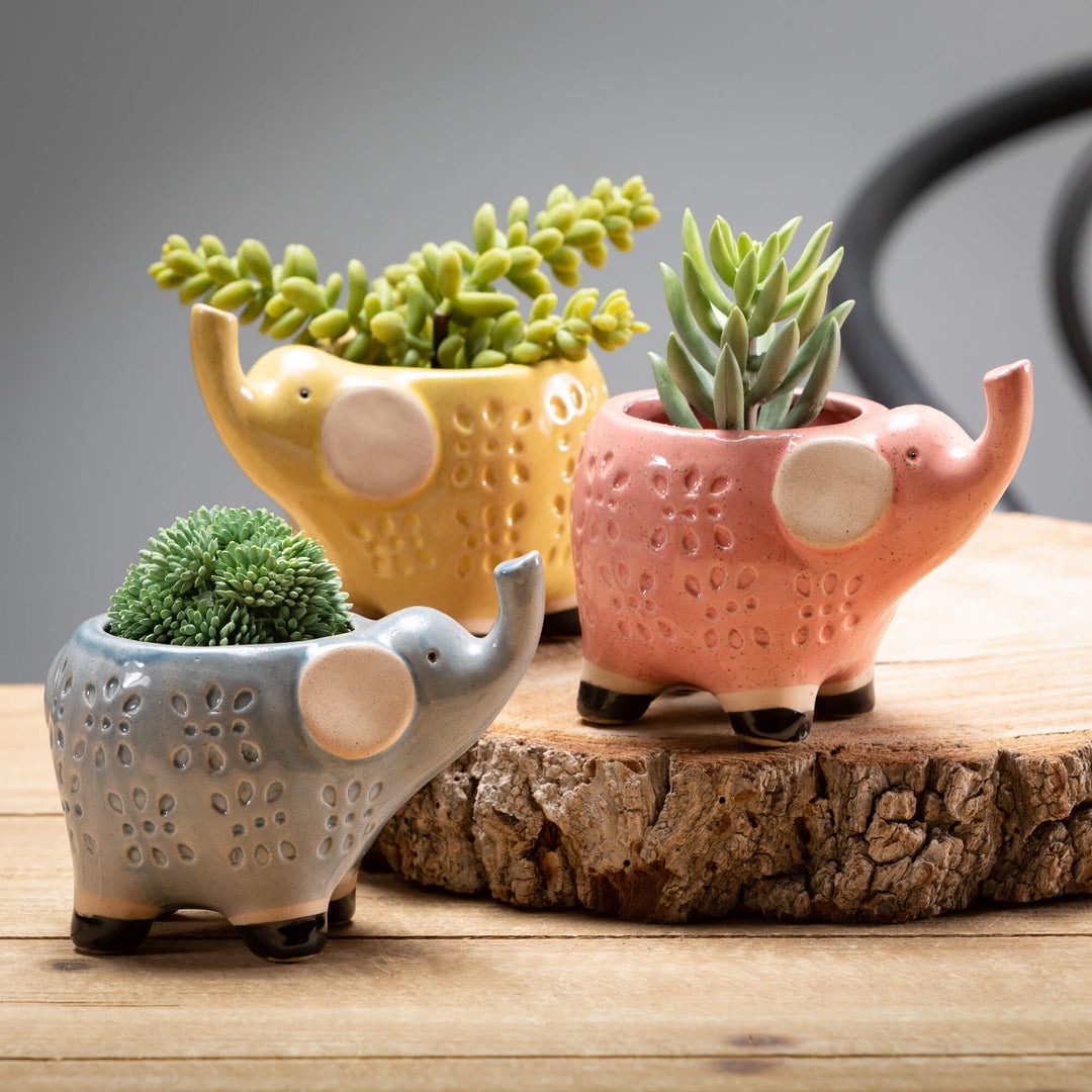 elephant planter pots Glazed Pastel Elephant Planters – Perch