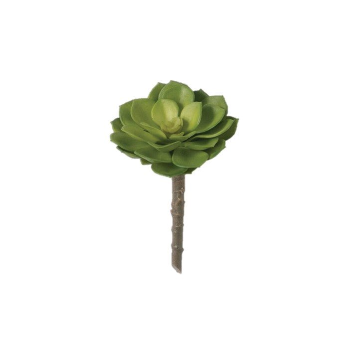 Succulent Pick - #Perch#
