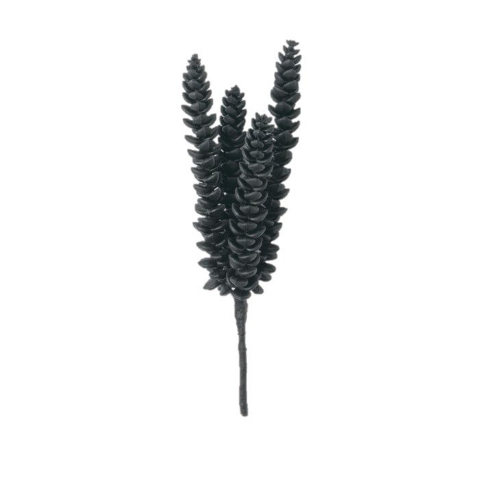 Succulent Pick In Black - #Perch#