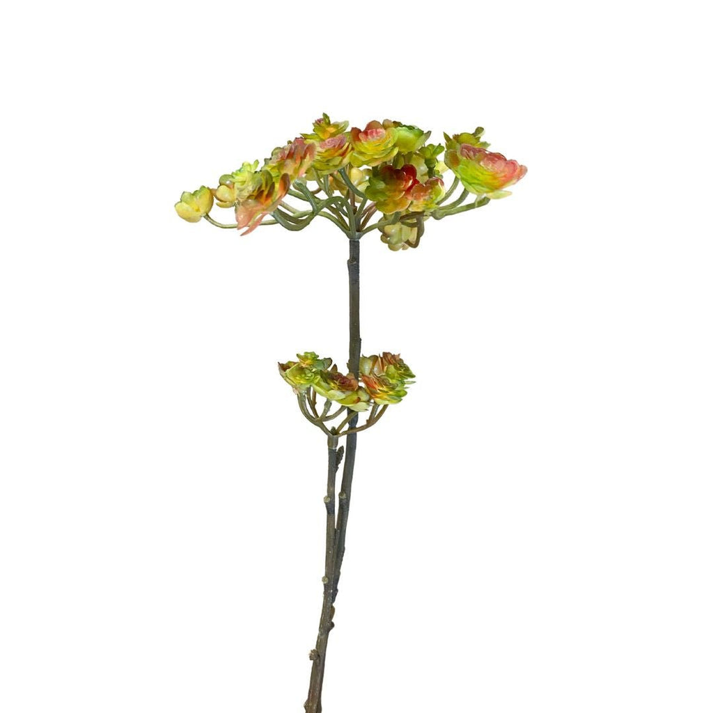Succulent Spray – Perch