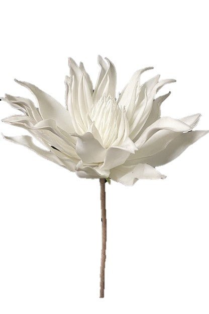 White Spider Flower - #Perch#